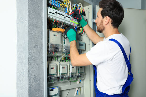 Best Electric Panel Repair  in Byron Center, MI